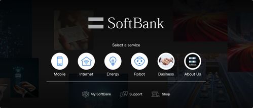 2021日本互聯(lián)網(wǎng)信息服務發(fā)展研究報告